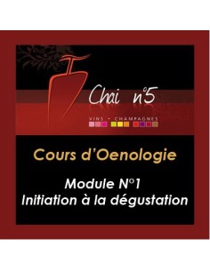 Cours d'Oenologie n°1 : Initiation à la dégustation