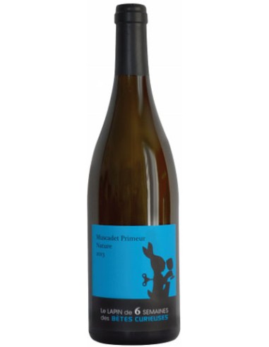 Vin Le Lapin de 6 Semaines Muscadet Primeur - Les Bêtes Curieuses - Chai N°5