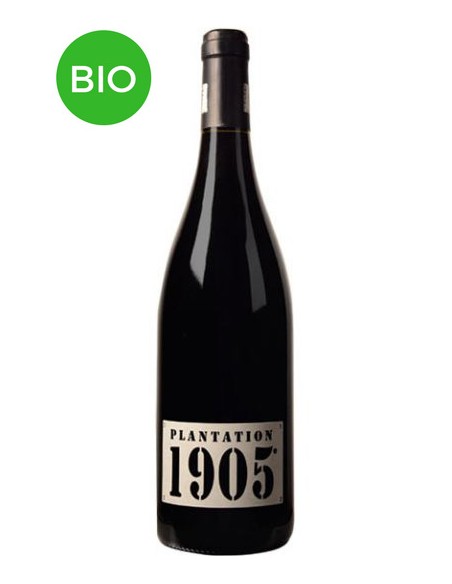 Vin Bio Plantation 1905 2018 - Domaine de la Tour Boisée - Chai N°5