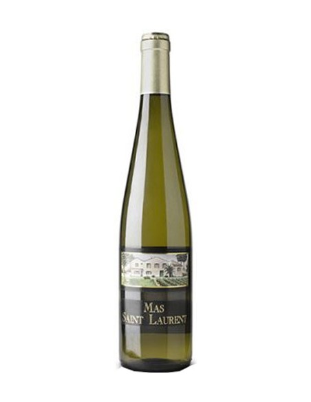 Picpoul de Pinet 2015 - Mas Saint Laurent - Chai N°5