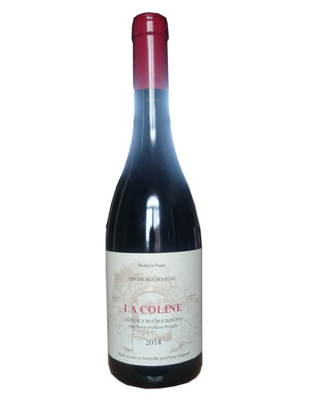 Vin Coteaux Bourguignons La Coline 2020 - Pierre Dupond - Chai N°5