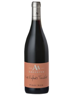 Vin Les Enfants Terribles Pinot Noir - Aegerter - Chai N°5
