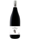 Vin The Cicada 2021 - Domaine Chante Cigale - Chai N°5