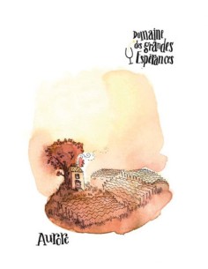 Vin Aurore 2015 Touraine - Domaine des Grandes Espérances - Chai N°5
