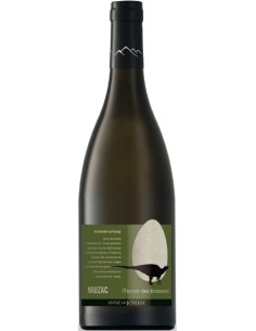 Vin Rhabdodon Priscus Mauzac 2017 - Anne de Joyeuse - Chai N°5