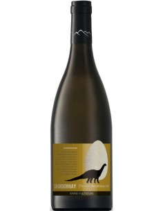 Vin Ampelosaurus Pays d'Oc - Anne de Joyeuse - Chai N°5