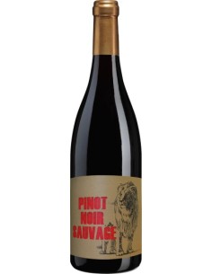 Vin Pinot Noir Sauvage - Château de la Terrière - Chai N°5