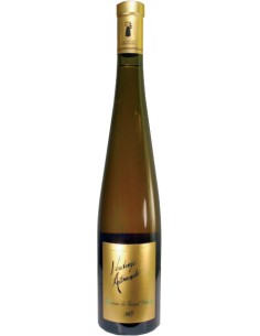 Vendange Automnale 2007 - Domaine du Grand Chemin - Chai N°5