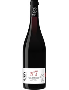 Vin Uby N°7 Merlot-Tannat - Domaine Uby - Chai N°5