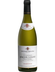 Vin Mâcon-Lugny Saint-Pierre 2019 en Magnum - Magnum - Bouchard Père & Fils - Chai N°5