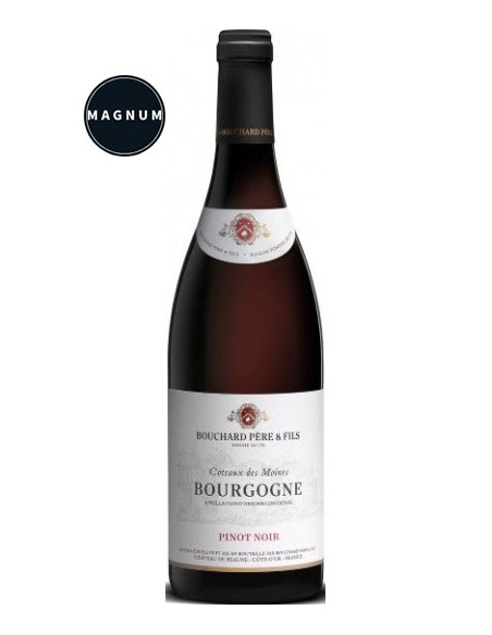 Vin Bourgogne Coteaux des Moines 2019 en Magnum - Bouchard Père & Fils - Chai N°5