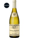 Vin Chassagne-Montrachet 2019 en Magnum - Louis Jadot - Chai N°5