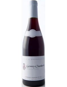Vin Gevrey-Chambertin - Domaine Georges Lignier - Chai N°5
