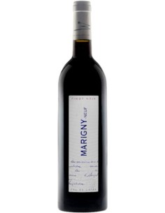 Vin Marigny-Neuf 2019 - Domaine Ampelidae - Chai N°5