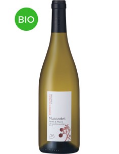 Vin Muscadet Les Gautronnières 2018 - Domaine Bonnet-Huteau - Chai N°5