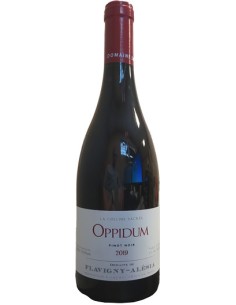 Vin Oppidum - Flavigny-Alésia - Chai N°5
