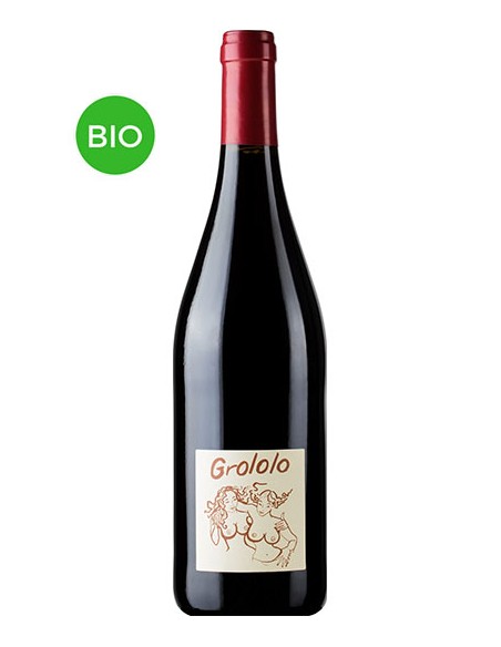 Vin Bio Grololo 2020 - Domaine Pithon-Paillé - Chai N°5