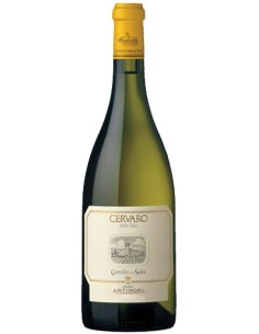 Cervaro della Salla - 2012 - Antinori - Chai N°5