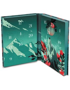 Calendrier de l'Avent Michel Cluizel 2021 - Chai N°5