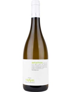 Vin Intuition Blanc 2021 - Domaine de Viranel - Chai N°5