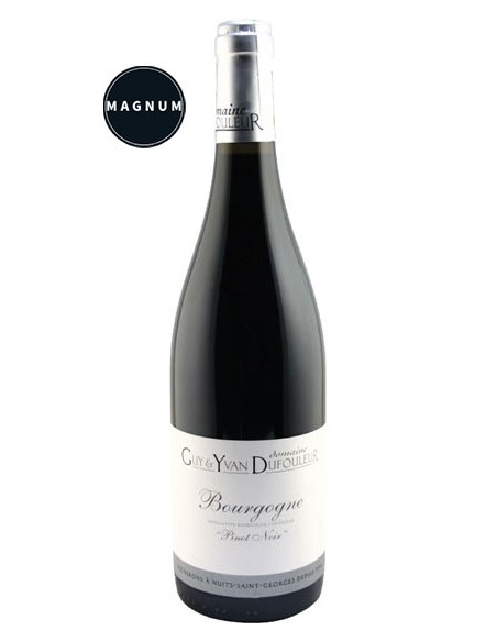 Vin Bourgogne en Magnum - Domaine Dufouleur - Chai N°5