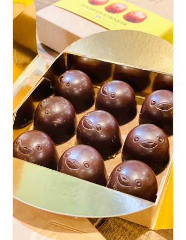 Encuentro Poussinos 9 pièces