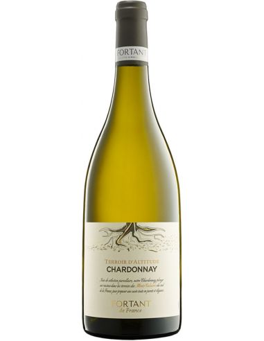 Vin Chardonnay Terroir d'Altitude - Maison Fortant - Chai N°5