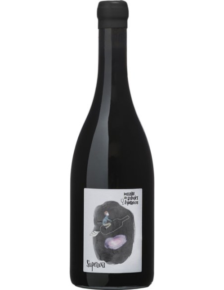 Supernova - 2012 - Domaine des Grandes Espérances - Chai N°5