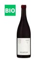 Vin Pulsation Chinon - Les Eclaireurs - Chai N°5