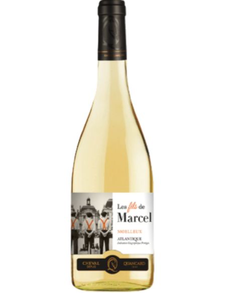 Vin Les Fils de Marcel Moelleux - Cheval Quancard - Chai N°5