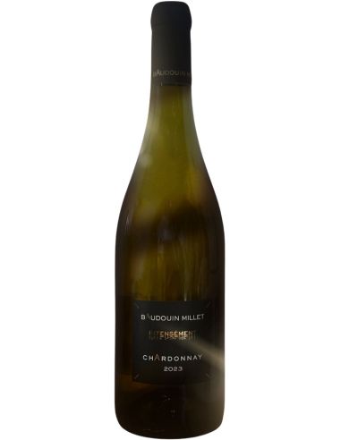 Chardonnay 2023 - Domaine Millet