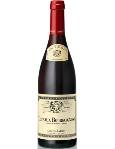 Vin Coteaux Bourguignons - Louis Jadot - Chai N°5