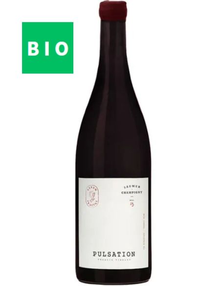 Vin Pulsation Saumur-Champigny 2023 - Les Eclaireurs - Chai N°5