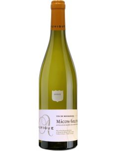 Vin Mâcon-Solutré Moulin du Pont - Auvigue - Chai N°5