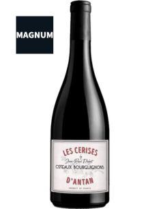 Vin Les Cerises d'Antan en Magnum - Domaine Dubost - Chai N°5