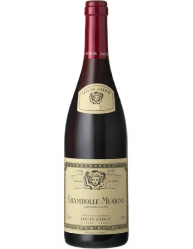 Vin Chambolle-Musigny - Louis Jadot - Chai N°5