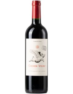 Vin Cochon Volant - Aujoux - Chai N°5