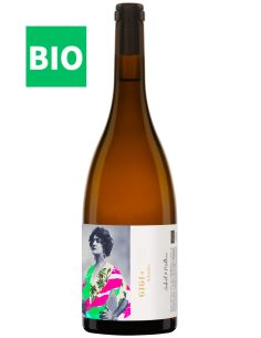 Vin Gigi - Aubert & Mathieu - Chai N°5