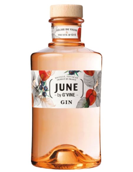 Gin G'Vine Pêche de Vigne et Fruits d'Eté - Chai N°5