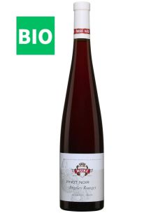 Vin Pinot Noir Argiles Rouges - René Muré - Chai N°5