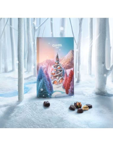 Calendrier de l'Avent Michel Cluizel 2025 - Chai N°5