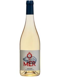 Vin Ô de Mer - Les Eclaireurs - Chai N°5